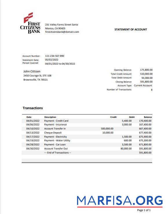 Printable USA Texas First Citizens bank statement word example